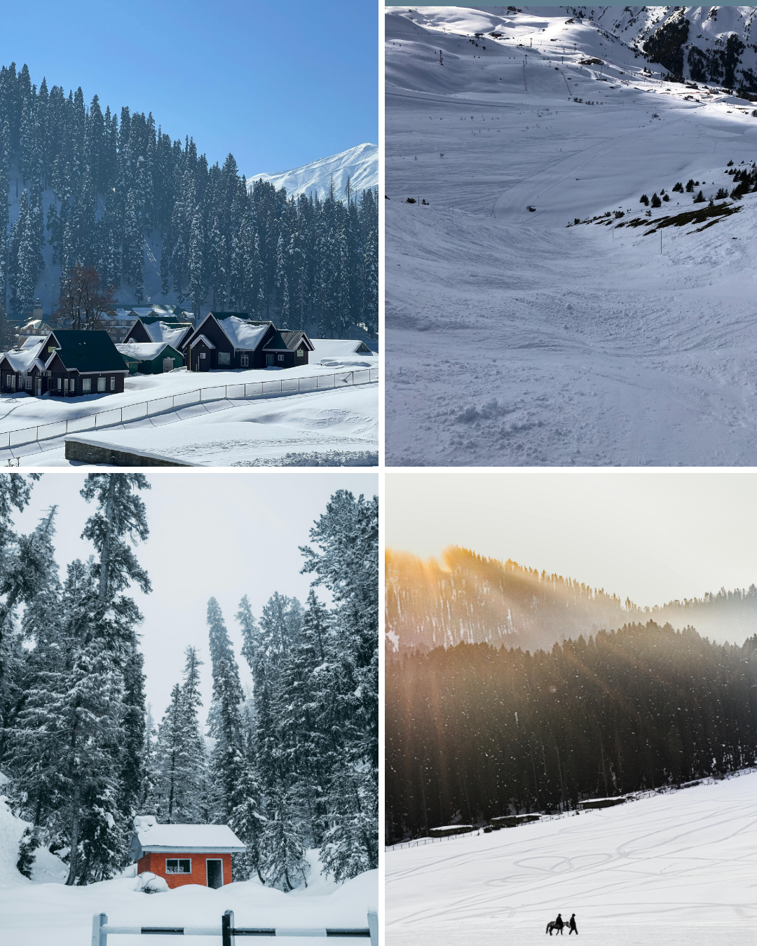 Winter Snow in Kashmir